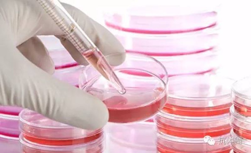 厦门生物科技行业的创新与变革