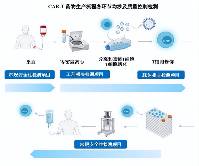生物技术研发选购指南:迈向未来医疗的阶梯